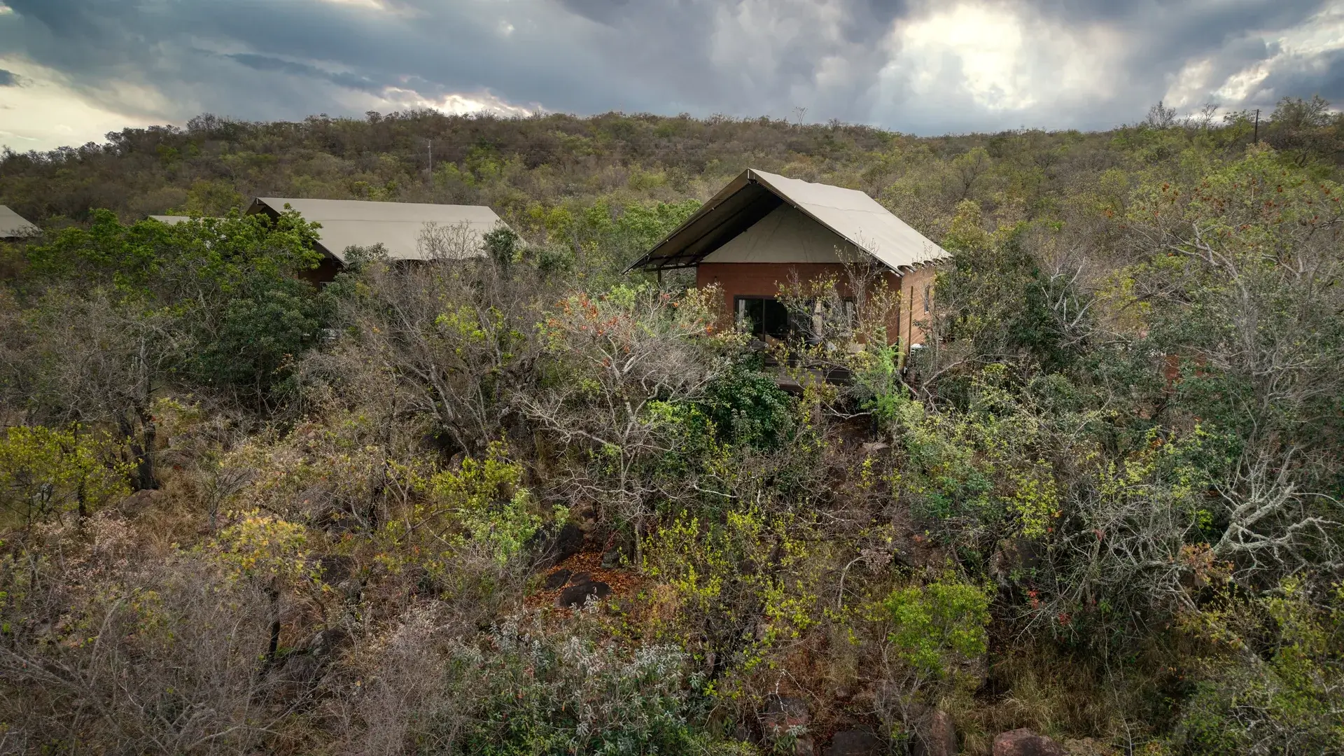 An Impala tent set among the bushveld