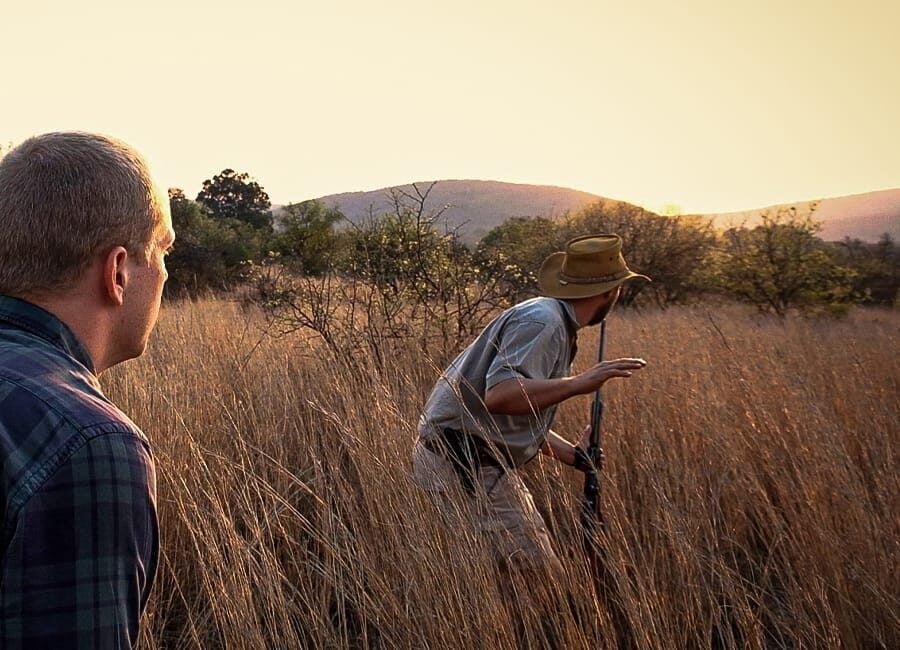 bush-walk-2