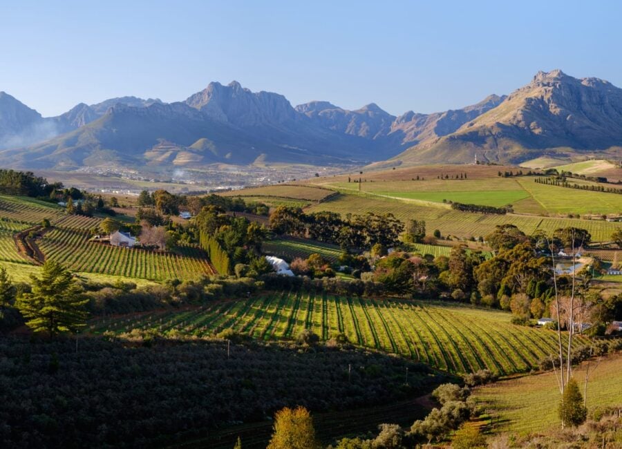 cape-wine-valley