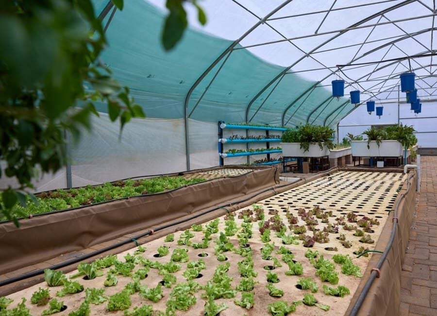 greenhouse-tunnels-1