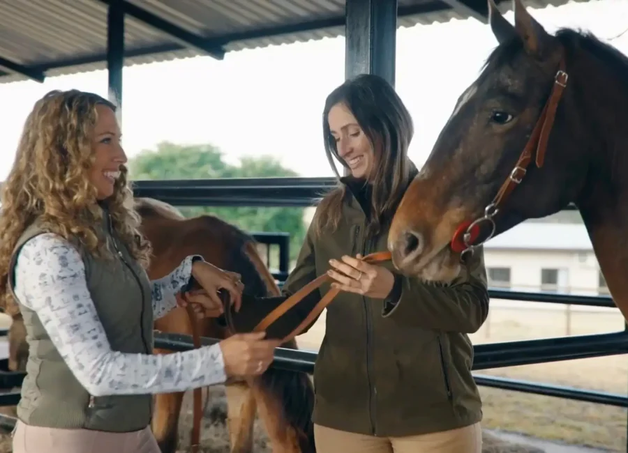 Riders on horseback on a guided safari ride in the Waterberg