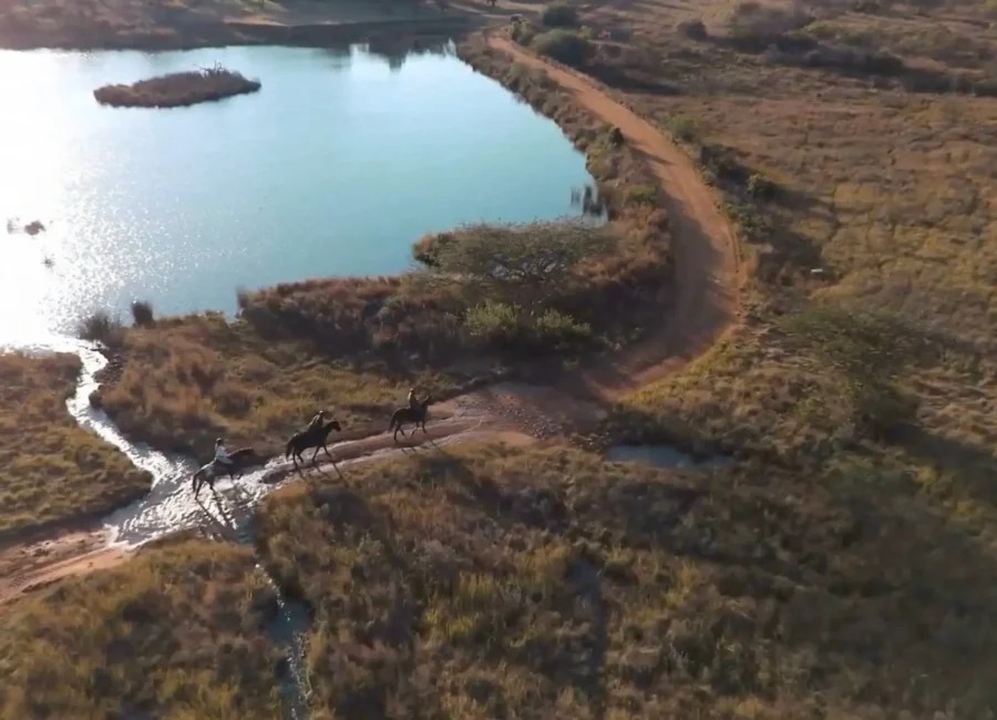 Rider on horseback in the Waterberg bush