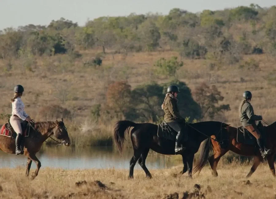 Riders on horseback by the water