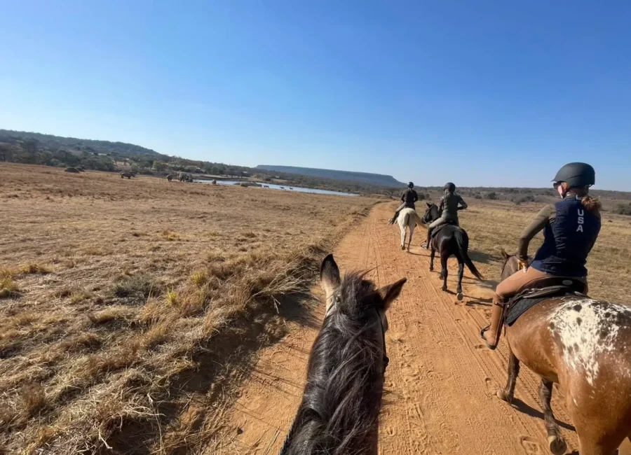 Guided trail ride through the Waterberg bush